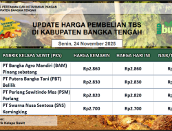 Update Harga Tandan Buah Segar (TBS) 24 November 2025