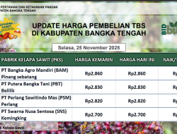 Update Harga Tandan Buah Segar (TBS) 25 November 2025