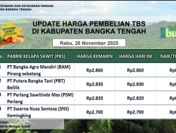 Update Harga Tandan Buah Segar (TBS) 26 November 2025