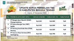 Update Harga Tandan Buah Segar (TBS) 27 November 2025
