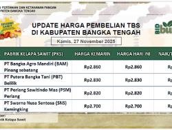 Update Harga Tandan Buah Segar (TBS) 27 November 2025