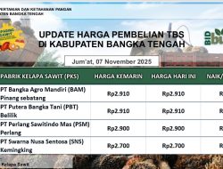 Update Harga Tandan Buah Segar (TBS) 07 November 2025