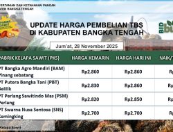 Update Harga Tandan Buah Segar (TBS) 28 November 2025