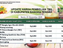 Update Harga Tandan Buah Segar (TBS) 01 Desember 2025