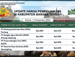 Update Harga Tandan Buah Segar (TBS) 11 Desember 2025