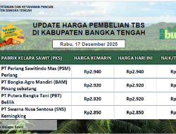 Update Harga Tandan Buah Segar (TBS) 17 Desember 2025