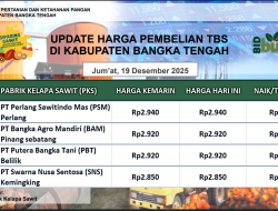 Update Harga Tandan Buah Segar (TBS) 19 Desember 2025