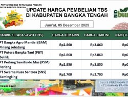 Update Harga Tandan Buah Segar (TBS) 05 Desember 2025
