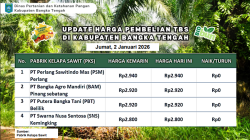 Update Harga Tandan Buah Segar (TBS) 02 Januari 2026
