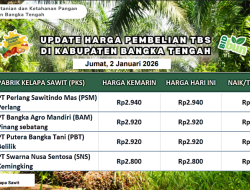 Update Harga Tandan Buah Segar (TBS) 02 Januari 2026