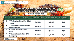 Update Harga Tandan Buah Segar (TBS) 05 Januari 2026