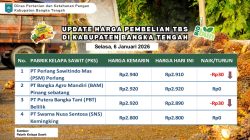 Update Harga Tandan Buah Segar (TBS) 06 Januari 2026