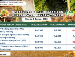 Update Harga Tandan Buah Segar (TBS) 06 Januari 2026