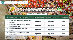 Update Harga Tandan Buah Segar (TBS) 02 Februari2026
