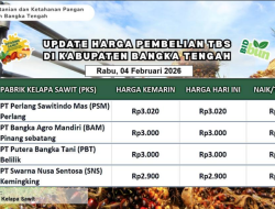 Update Harga Tandan Buah Segar (TBS) 04 Februari 2026